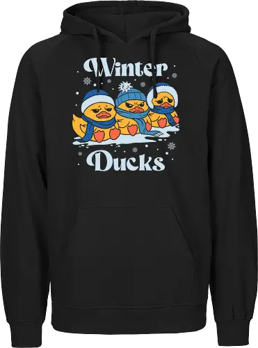 Winter Ducks