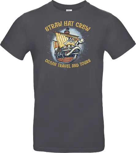 Ocean Travel and Tours