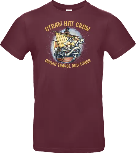 Ocean Travel and Tours