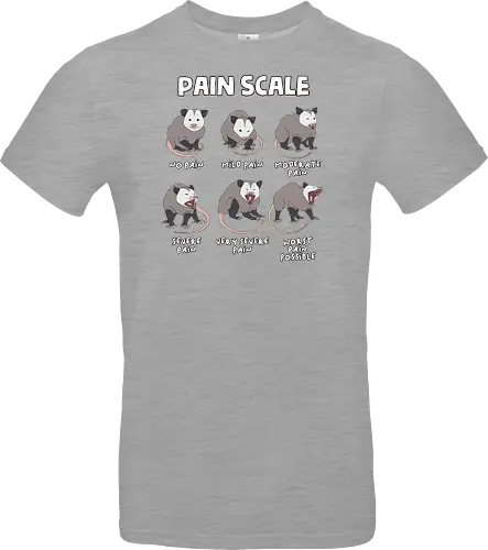 Pain Scale
