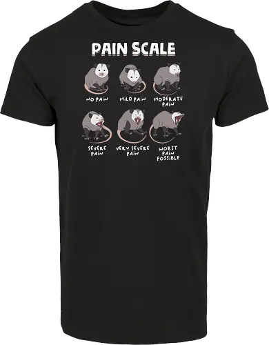 Pain Scale