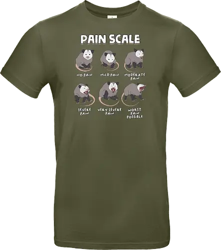 Pain Scale
