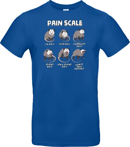 Pain Scale