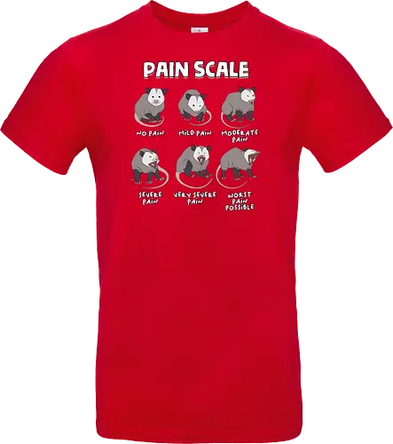 Pain Scale