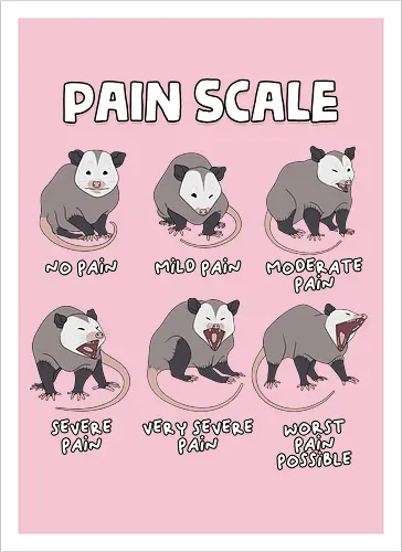 Pain Scale