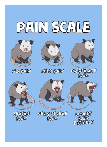 Pain Scale