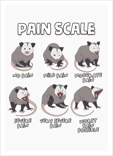 Pain Scale