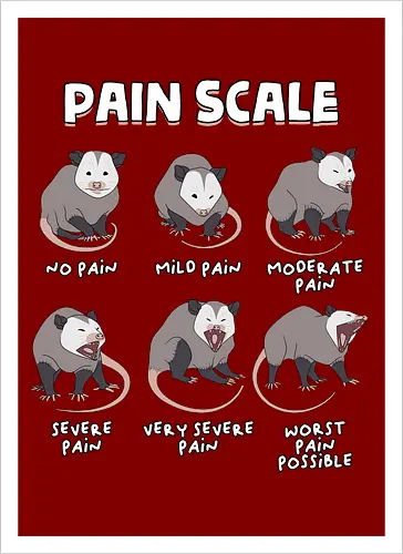 Pain Scale