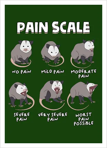 Pain Scale