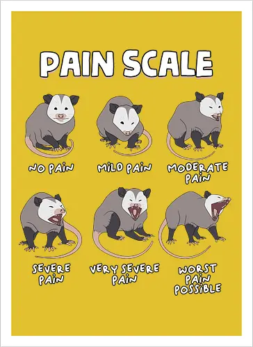 Pain Scale