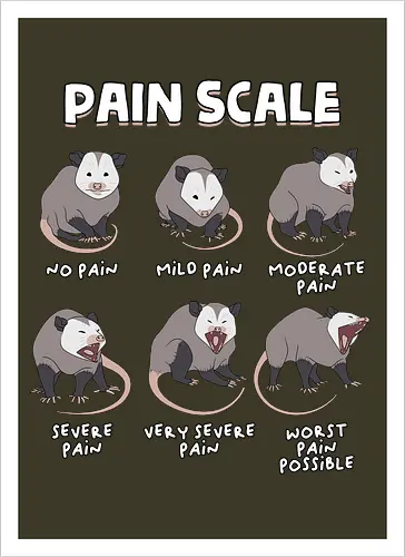 Pain Scale