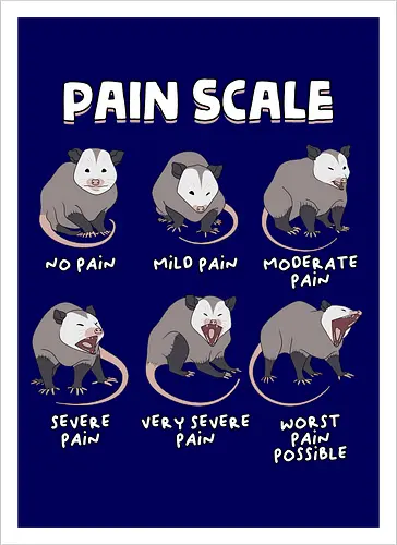 Pain Scale