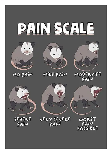 Pain Scale