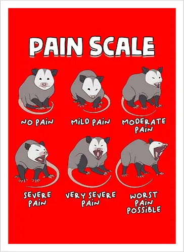 Pain Scale