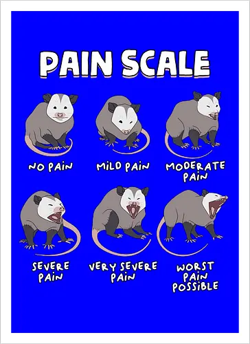Pain Scale
