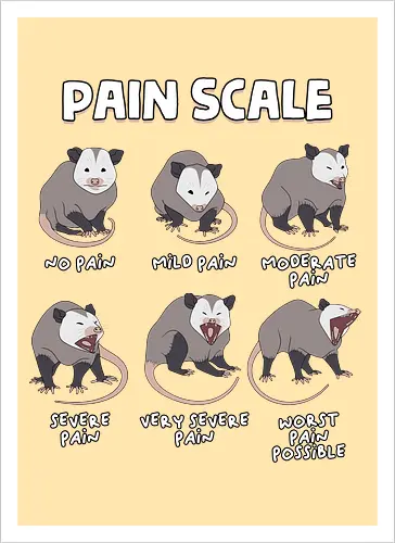 Pain Scale