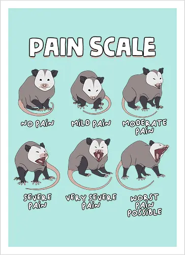 Pain Scale