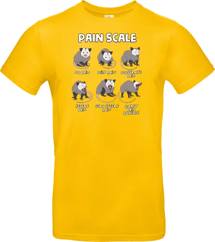 Pain Scale