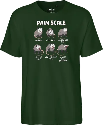 Pain Scale