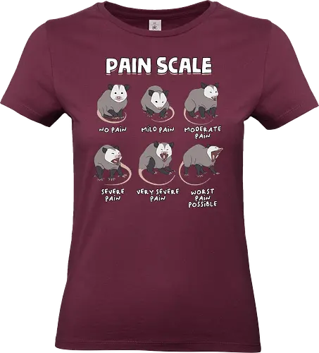 Pain Scale - pain scale, emergency department, funny nurse, healthcare, icu nurse, medical humor, nurse, nurse day, nurse life, nursing school, nursing student, opossum, physical therapist, physical therapy, possum - Standard T-Shirt (Frauen)