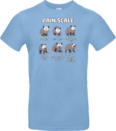 Pain Scale