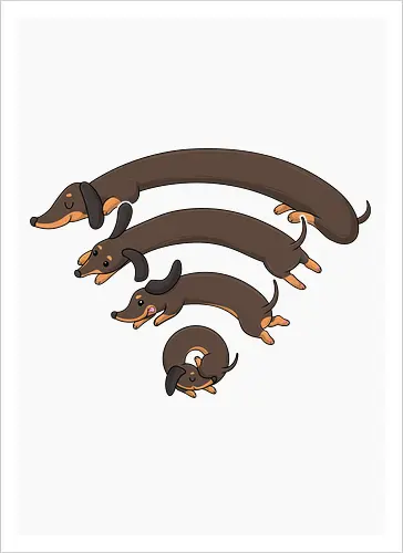 Dachshund Connection