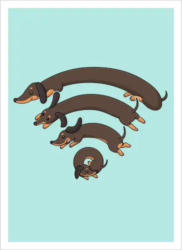 Dachshund Connection