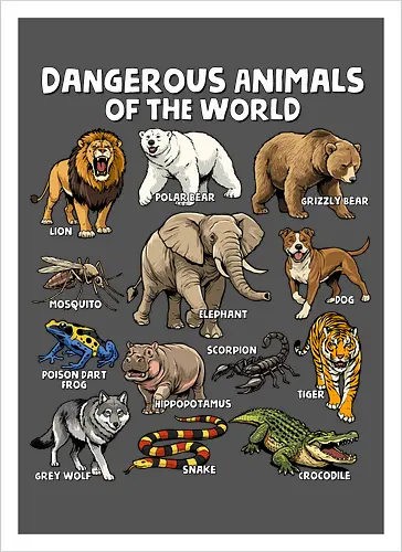 Dangerous Animals of the World