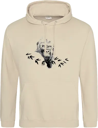 gorilla beringei beringei