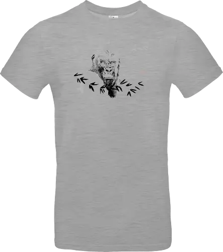 gorilla beringei beringei