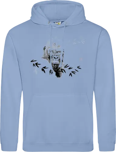 gorilla beringei beringei