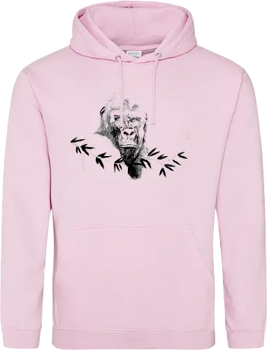 gorilla beringei beringei