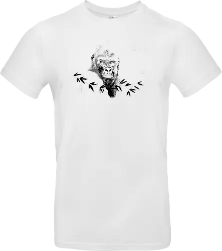 gorilla beringei beringei