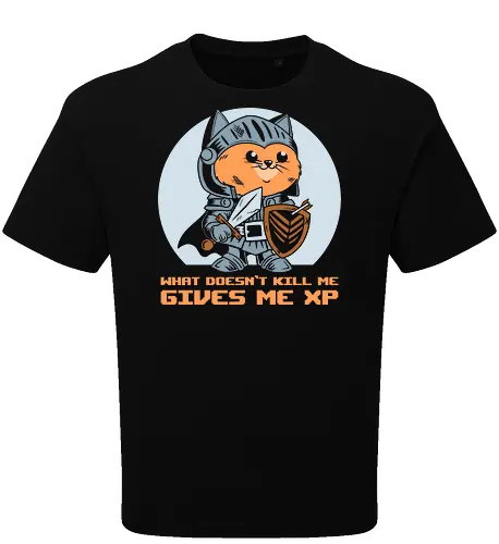 What Doesn’t Kill Me Gives Me XP Cat 