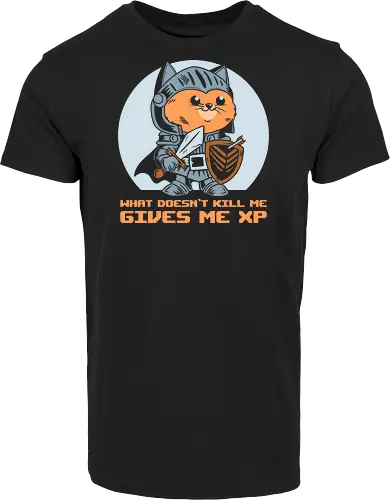What Doesn’t Kill Me Gives Me XP Cat 