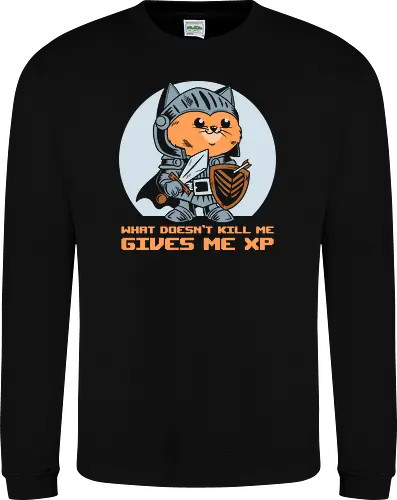 What Doesn’t Kill Me Gives Me XP Cat 