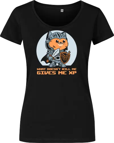 What Doesn’t Kill Me Gives Me XP Cat 