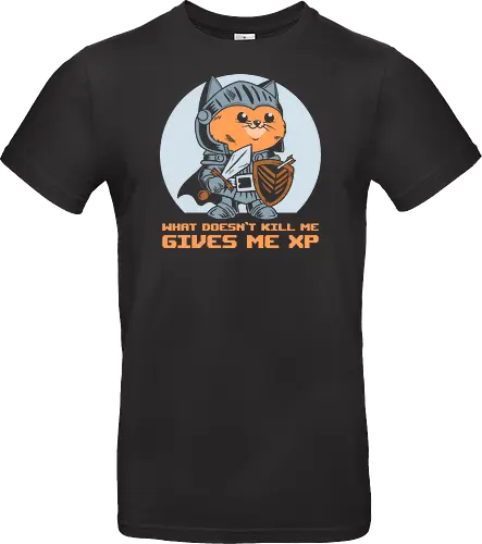 What Doesn’t Kill Me Gives Me XP Cat 