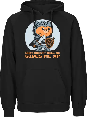 What Doesn’t Kill Me Gives Me XP Cat 