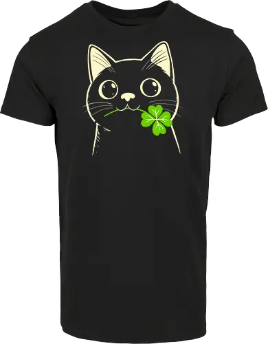 Lucky Black Cat
