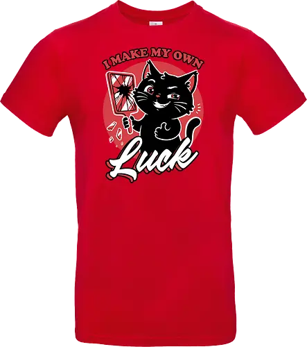 Black Cat Mirror Luck