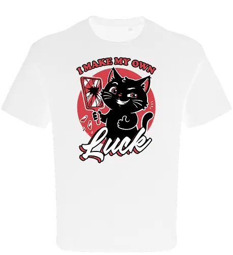 Black Cat Mirror Luck