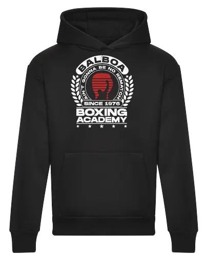 Balboa Boxing Academy V3