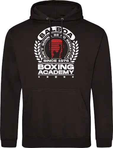 Balboa Boxing Academy V3