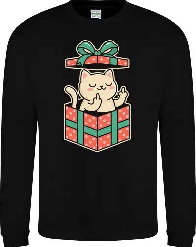 "Surprise Me" Funny Rude Cat in Gift Box Graphic