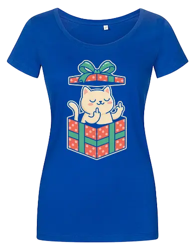 "Surprise Me" Funny Rude Cat in Gift Box Graphic