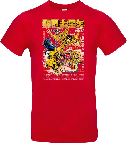 Sagittarius, Libra & Aquarius Gold Saints