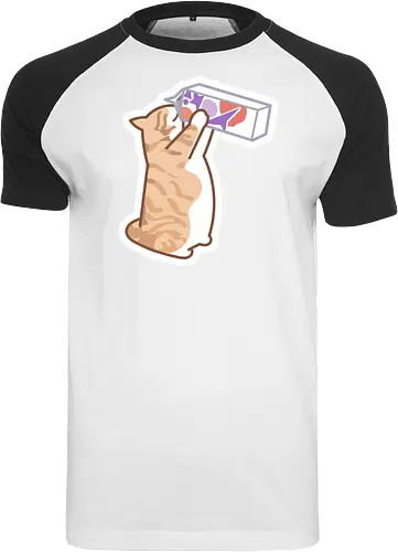 Gato Naranja Bebe Leche