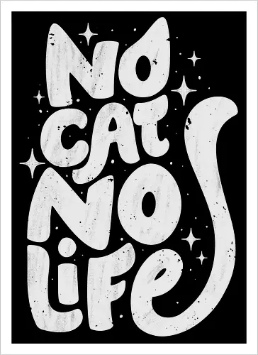 No Cat No Life