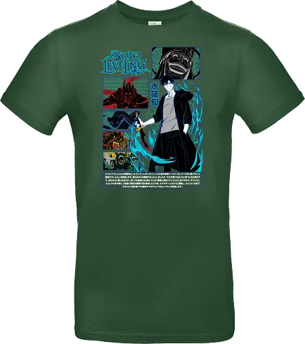 Solo Leveling – The System Awakens